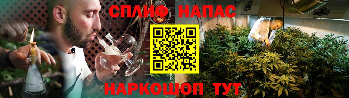 Конопля SATIVA & INDICA Соль-Илецк